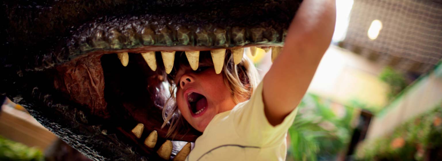 Dinoland